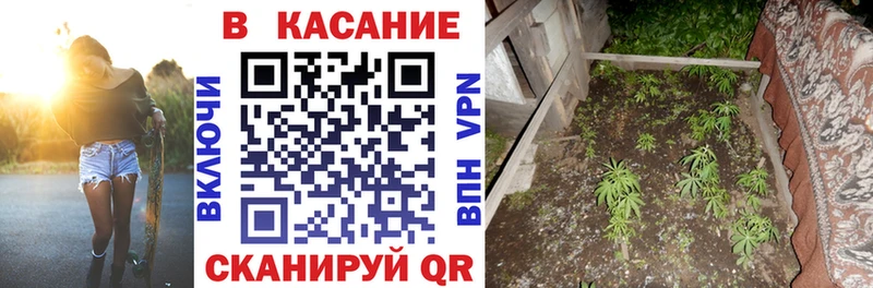 Где найти наркотики Кедровый Альфа ПВП  COCAIN  Гашиш  Каннабис 