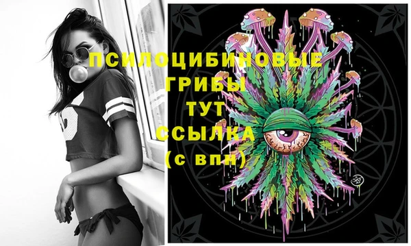 амф Абаза