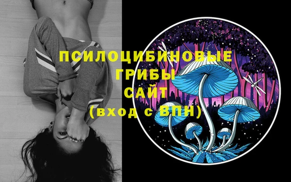 амф Абаза