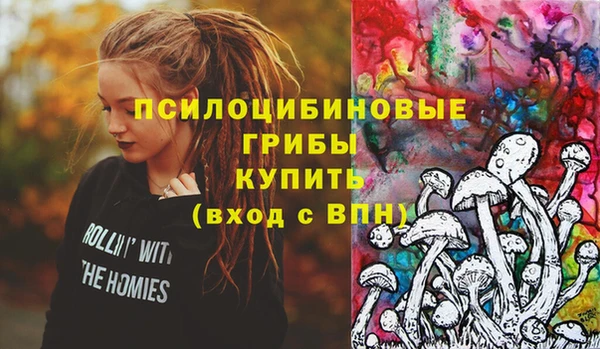 амф Абаза