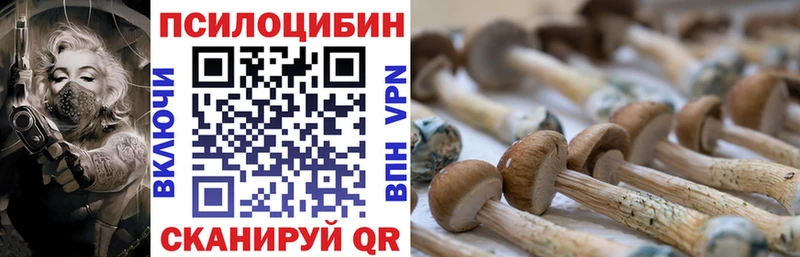 Галлюциногенные грибы Magic Shrooms  Кедровый 